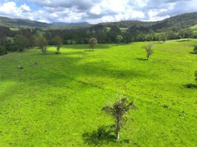 Farm For Sale - NSW - Kyogle - 2474 - GHINNI GHI FARM - Over 100 years of history  (Image 2)