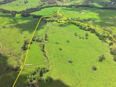 Farm For Sale - NSW - Kyogle - 2474 - GHINNI GHI FARM - Over 100 years of history  (Image 2)