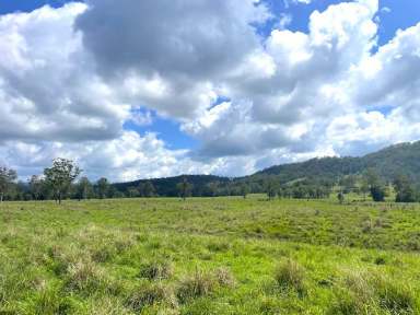 Farm For Sale - NSW - Kyogle - 2474 - GHINNI GHI FARM - Over 100 years of history  (Image 2)