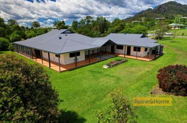 Farm Sold - NSW - Gloucester - 2422 - 1 Acre, Walk to Town, Guest Accom  (Image 2)