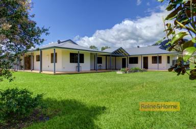 Farm Sold - NSW - Gloucester - 2422 - 1 Acre, Walk to Town, Guest Accom  (Image 2)