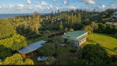 Farm Sold - NSW - Norfolk Island - 2899 - Ocean View Property with Unlimited Potential  (Image 2)