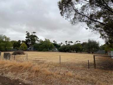 Farm Sold - SA - Tarlee - 5411 - Rare Opportunity  (Image 2)