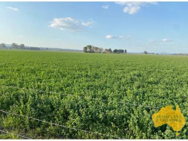 Farm For Sale - QLD - Monto - 4630 - Monto District Lucerne & Cropping Farm  (Image 2)