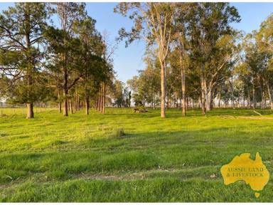 Farm For Sale - QLD - Monto - 4630 - Monto District Lucerne & Cropping Farm  (Image 2)