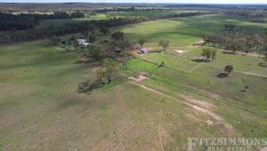 Farm For Sale - QLD - Cecil Plains - 4407 - "MATILDA HILL"  (Image 2)