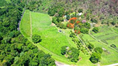 Farm Sold - QLD - Murray Upper - 4854 - Rural Lifestyle $580K  (Image 2)