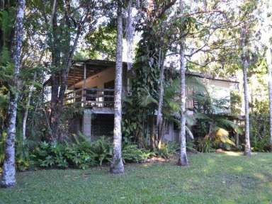 Farm Sold - QLD - Kuranda - 4881 - Live in the Heart of Kuranda CBD  (Image 2)