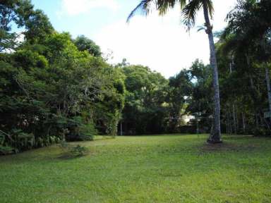 Farm Sold - QLD - Kuranda - 4881 - Vacant land in the heart of Kuranda CBD  (Image 2)