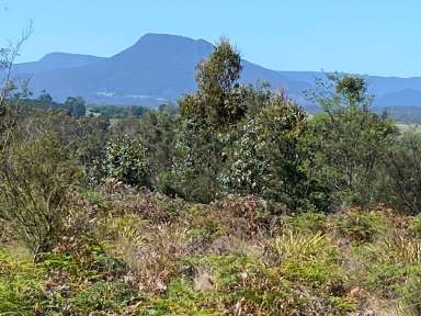 Farm For Sale - TAS - Reedy Marsh - 7304 - Mountain Views  (Image 2)