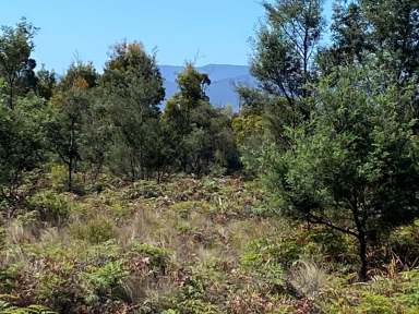 Farm For Sale - TAS - Reedy Marsh - 7304 - Mountain Views  (Image 2)