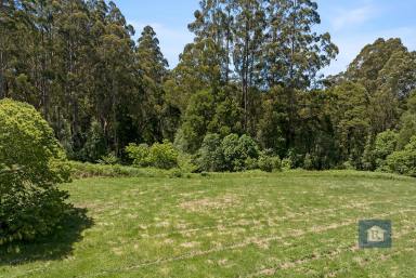 Farm For Sale - VIC - Weeaproinah - 3237 - Your Oasis in the Otway Ranges...  (Image 2)
