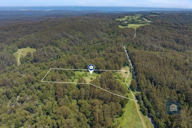 Farm For Sale - VIC - Weeaproinah - 3237 - Your Oasis in the Otway Ranges...  (Image 2)
