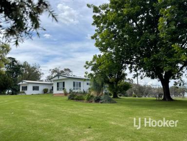 Farm For Sale - NSW - Inverell - 2360 - Outstanding Living!  (Image 2)