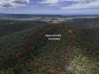 Farm Sold - NSW - Bega - 2550 - 25 ACRES, CLOSE TO TOWN  (Image 2)