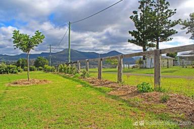 Farm Sold - QLD - Killarney - 4373 - PANORAMIC MOUNTAIN VIEWS  (Image 2)