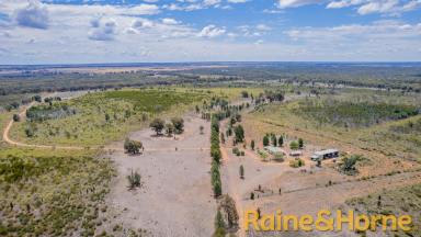 Farm Sold - NSW - Balladoran - 2822 - Affordable Acres!  (Image 2)