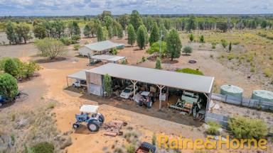 Farm For Sale - NSW - Balladoran - 2822 - Affordable Acres!  (Image 2)