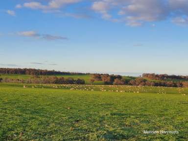 Farm For Sale - WA - Frankland River - 6396 - "Cream of the Crop! Bokerup Country"  (Image 2)