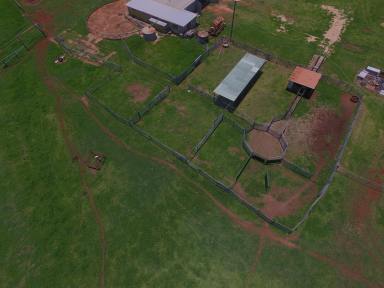 Farm Sold - QLD - Kumbia - 4610 - Excellent improvements and location;  Kumbia WIWO Opportunity  (Image 2)