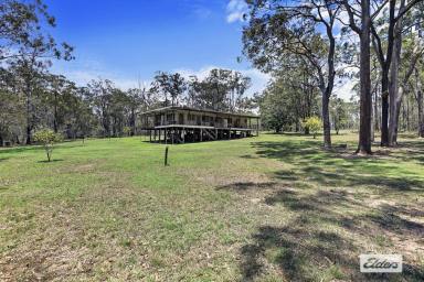 Farm Sold - QLD - Beelbi Creek - 4659 - OPPORTUNITY KNOCKS! 175 ACRES - A SLICE OF PARADISE!  (Image 2)