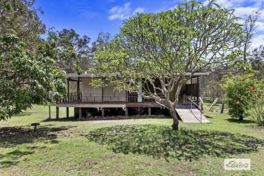 Farm Sold - QLD - Beelbi Creek - 4659 - OPPORTUNITY KNOCKS! 175 ACRES - A SLICE OF PARADISE!  (Image 2)