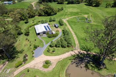 Farm For Sale - NSW - Killabakh - 2429 - Picturesque Countryside Sanctuary  (Image 2)