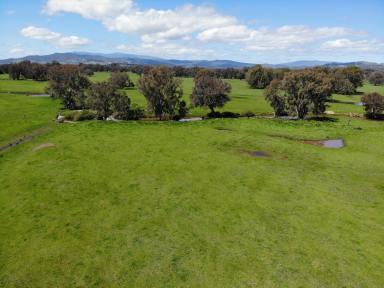 Farm For Sale - VIC - Whorouly - 3735 - WHOROULY FARMLET  (Image 2)