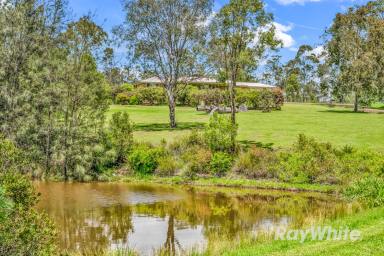 Farm For Sale - NSW - Gloucester - 2422 - Tree Change Bliss on Over Five Acres!  (Image 2)