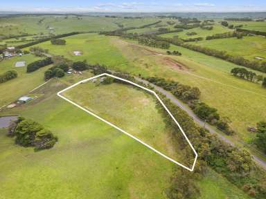 Farm Sold - VIC - Scotts Creek - 3267 - FAMILY HOME IN A BEAUTIFUL RURAL SETTING  (Image 2)