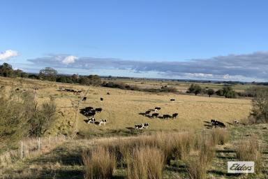 Farm For Sale - VIC - Stratford - 3862 - Hows The View ?  (Image 2)