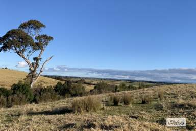 Farm For Sale - VIC - Stratford - 3862 - Hows The View ?  (Image 2)