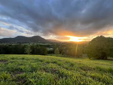 Farm Sold - QLD - Eerwah Vale - 4562 - Sweeping Views Sunrise to Sunset, 38 Useable Cleared Acres  (Image 2)