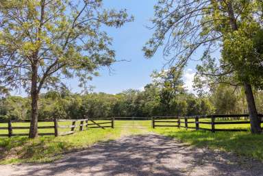 Farm Sold - QLD - Eerwah Vale - 4562 - Sweeping Views Sunrise to Sunset, 38 Useable Cleared Acres  (Image 2)