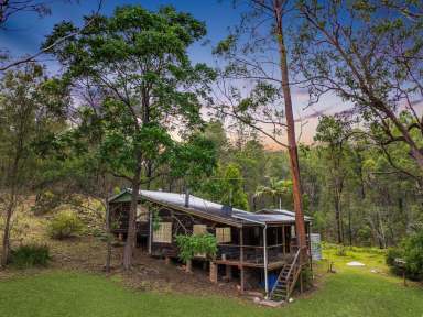 Farm For Sale - NSW - Laguna - 2325 - 'Wombat Valley' - A Beautiful Wildlife Sanctuary  (Image 2)