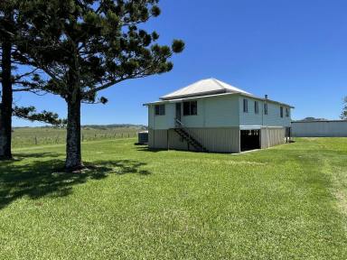 Farm For Sale - NSW - South Gundurimba - 2480 - 81 ACRE RURAL PACKAGE  (Image 2)