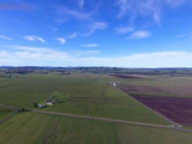 Farm For Sale - NSW - South Gundurimba - 2480 - 81 ACRE RURAL PACKAGE  (Image 2)