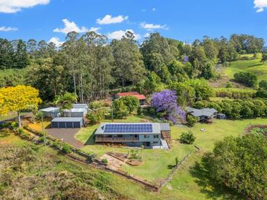 Farm For Sale - NSW - Stony Chute - 2480 - 57-Acre Estate with Spectacular Views and Dual Residences  (Image 2)