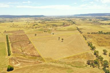 Farm For Sale - NSW - Young - 2594 - Potential meets practicality  (Image 2)