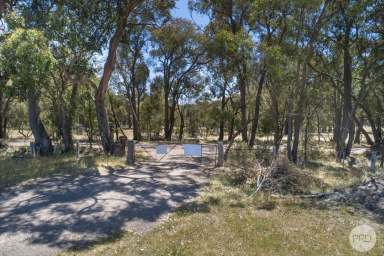 Farm Sold - VIC - Snake Valley - 3351 - Race To Your New Build At Racecourse Road!  (Image 2)