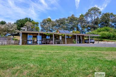 Farm For Sale - TAS - Calder - 7325 - SUSTAINABLE, PRIVATE OASIS  (Image 2)