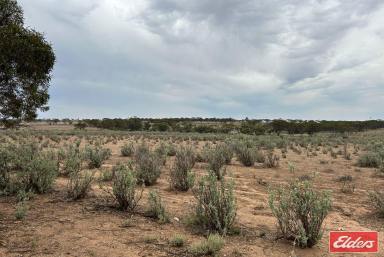 Farm Sold - SA - Sutherlands - 5374 - 17.09 ACRES (6.92 HECTARES) IN SUTHERLANDS TOWNSHIP  (Image 2)