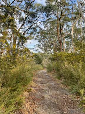 Farm For Sale - VIC - Woodside - 3874 - High Conservation Value Bush Block – Preserve Nature’s Beauty  (Image 2)