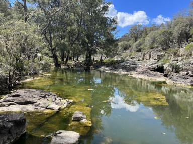 Farm For Sale - NSW - Wellingrove - 2370 - Opportunities Await You!!  (Image 2)