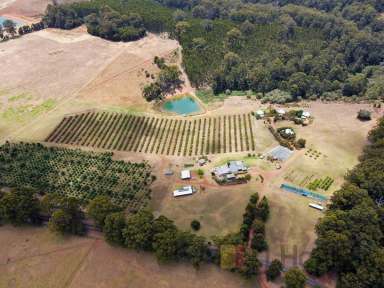 Farm Sold - WA - Pemberton - 6260 - Tranquillity and Diversity  (Image 2)