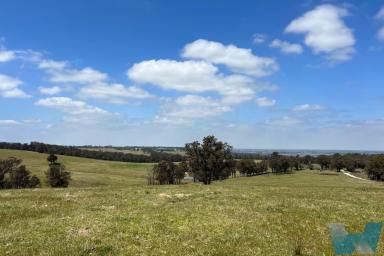Farm For Sale - VIC - Wuk Wuk - 3875 - Elevated Rural Charm  (Image 2)