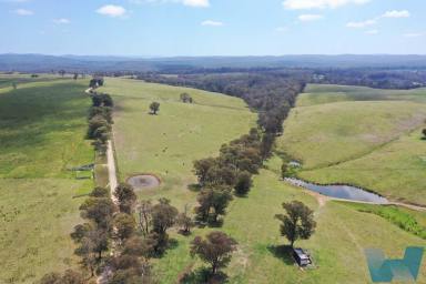 Farm For Sale - VIC - Wuk Wuk - 3875 - Elevated Rural Charm  (Image 2)