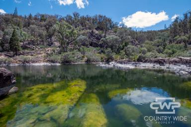 Farm For Sale - NSW - Inverell - 2360 - "JIMARGIE" Murray Cod Fishing Paradise  (Image 2)