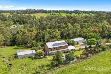 Farm For Sale - VIC - Drouin West - 3818 - PRICE REDUCED!! - 5 Bedrooms, 4 Paddocks, Ferngully, Huge Shed..  (Image 2)