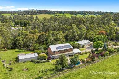 Farm For Sale - VIC - Drouin West - 3818 - 5 Bedrooms, 4 Paddocks, Ferngully, Huge Shed..  (Image 2)